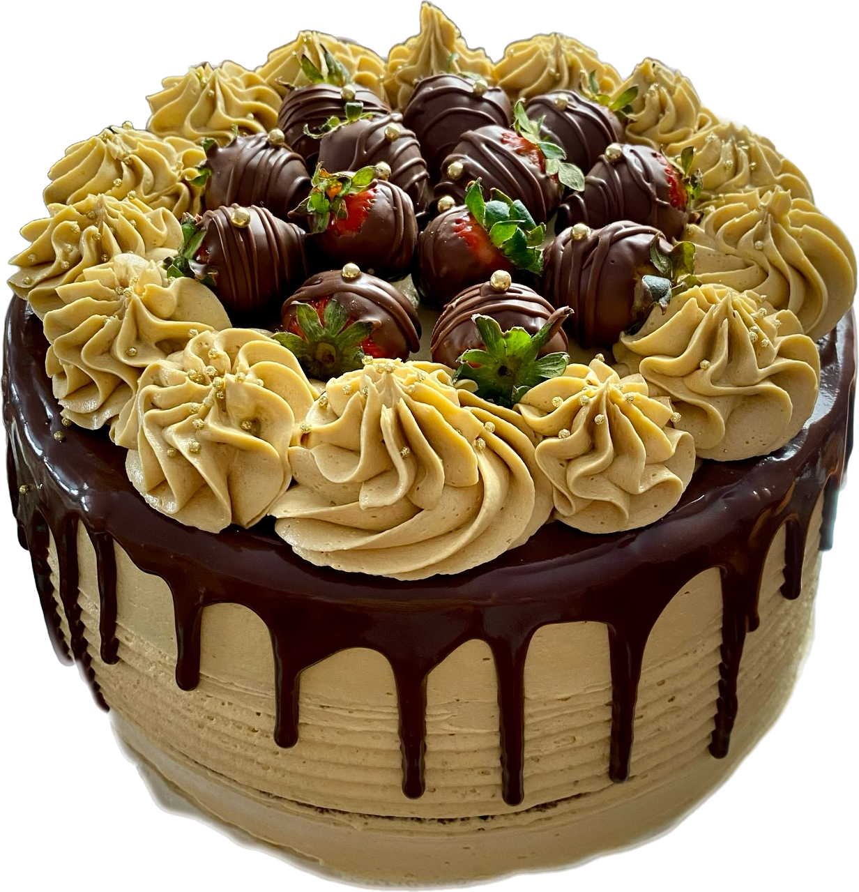 Pastel de chocolate con lustre de moka